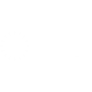 BDI Logo Small